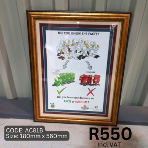 Used Painting