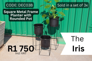 New Iris planter pots for decor supplied by HNA Office Furniture in Germiston.