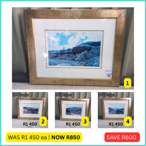 Used golden frame natural blue still life prints sold by HNA Office Furniture in Gauteng.