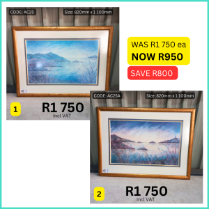 Used bronze framed nature scenery prints sold by HNA Office Furniture in Gauteng.
